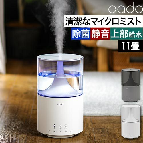 cado加湿器 STEM300 【選べる豪華特典】 | セレクトショップ・AQUA（アクア）