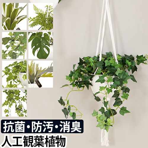 人工観葉植物 エクリア 消臭アーティフィシャルグリーン 光触媒 おしゃれ 消臭 防汚 抗菌 ハンギング リアル 造花 トイレ 玄関 インテリア 壁掛け ナチュラル セレクトショップ Aqua アクア