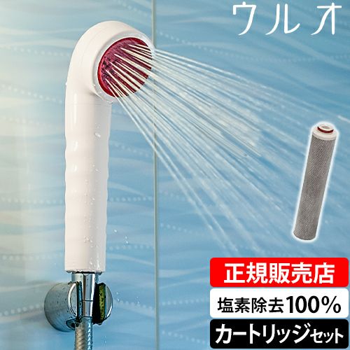 シャワーヘッド 【選べる2大特典】 正規品 炭酸タブレット 浄水 